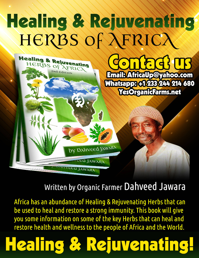 HERBS OF AFRICA